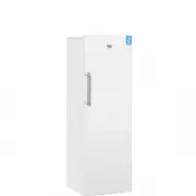 Beko RFNK290T21W