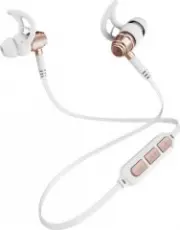 Nobby Expert L-900 Rose Gold (NBE-BH-42-72)