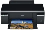 Epson STYLUS PHOTO P50