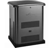 Briggs & Stratton G80 40495