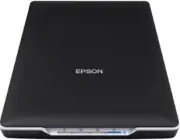 Epson Perfection V19