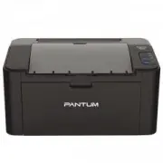 Pantum P2500