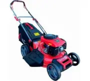 Expert-bis L53S 263236