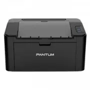 Pantum P2516