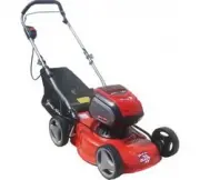 Expert-bis LBL41P 263353