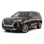Hyundai Palisade (2018 - 2022)