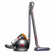 Dyson Big Ball Allergy 2
