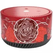 Яндекс Станция Лайт Rainbo Desert Roses (RBYN-0014)