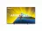 Philips 43PUS8079/12