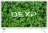 DEXP 24HKN1/W