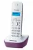 Panasonic KX-TG1611RUF