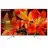 Sony KD-65XF8577